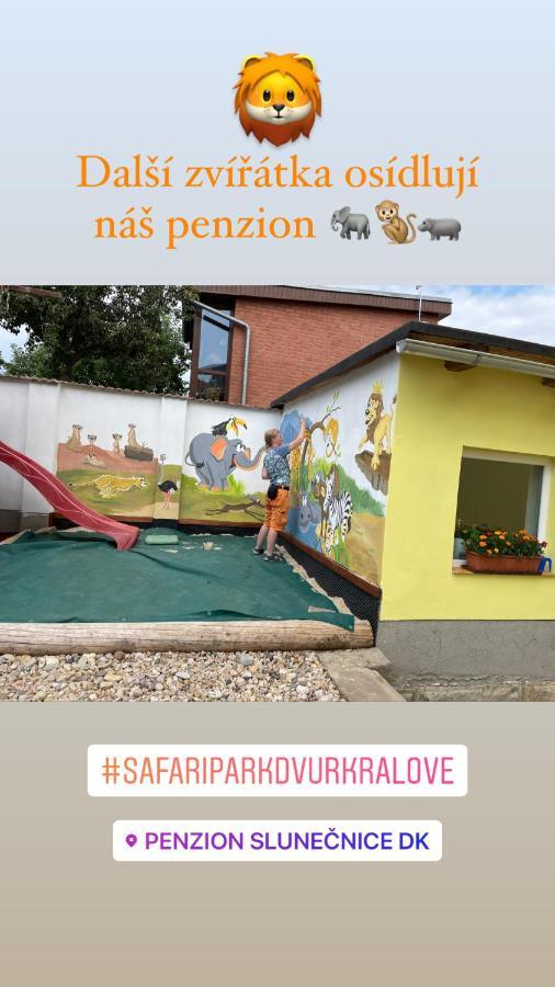 Penzion Slunecnice Dvur Kralove nad Labem Exterior photo
